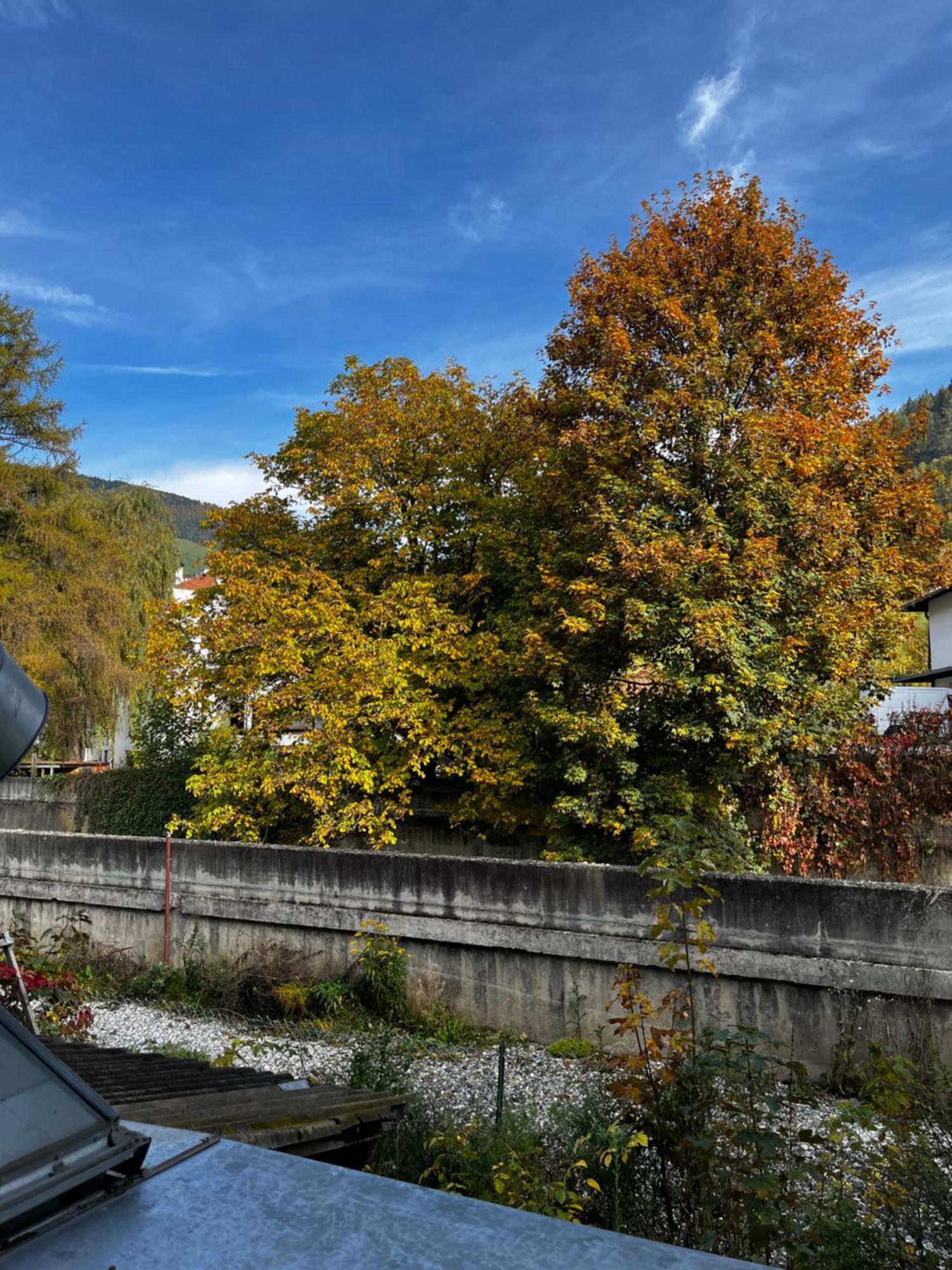 Gasthof Sterzingerhof Buitenkant foto